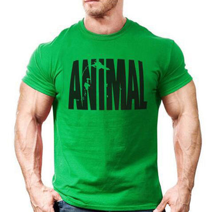 Animal T-Shirt – Catalog Design 004