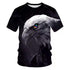 Eagle Flame Phoenix Animal 3d Printed T Shirt