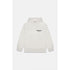 Letters Flocking Fear Of God Essentials Hoodie Sweatshirt Pullover