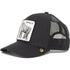 NY Baseball cap  peaked caps trucker Hats