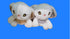 Plush toy Prize claw doll gift