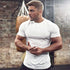 Fitness Men's Round Neck Sports Cottont T-shirt Muscle Gym T Shirt